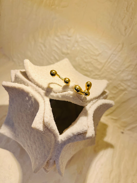 Nova Cluster Ring