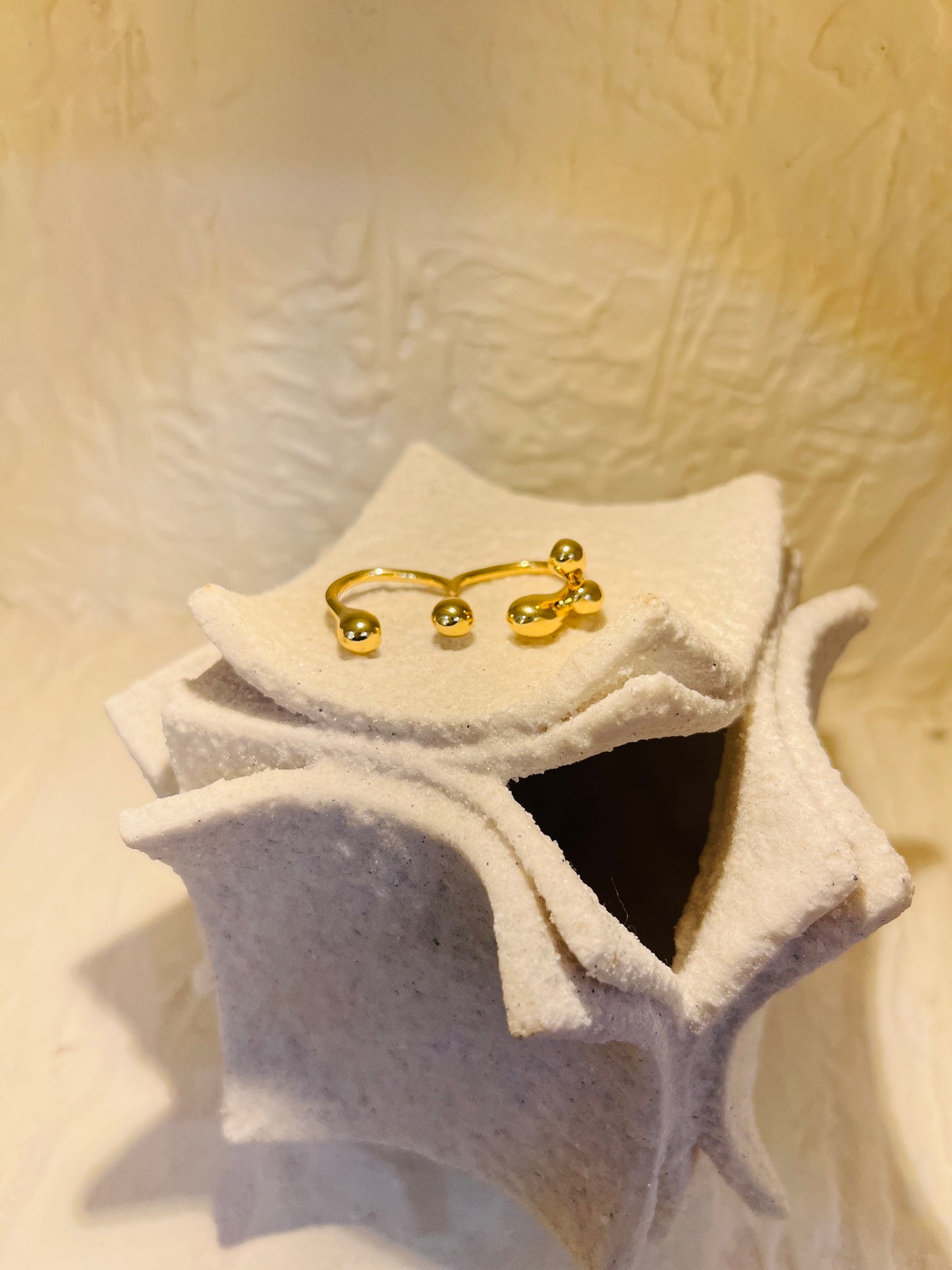 Nova Cluster Ring